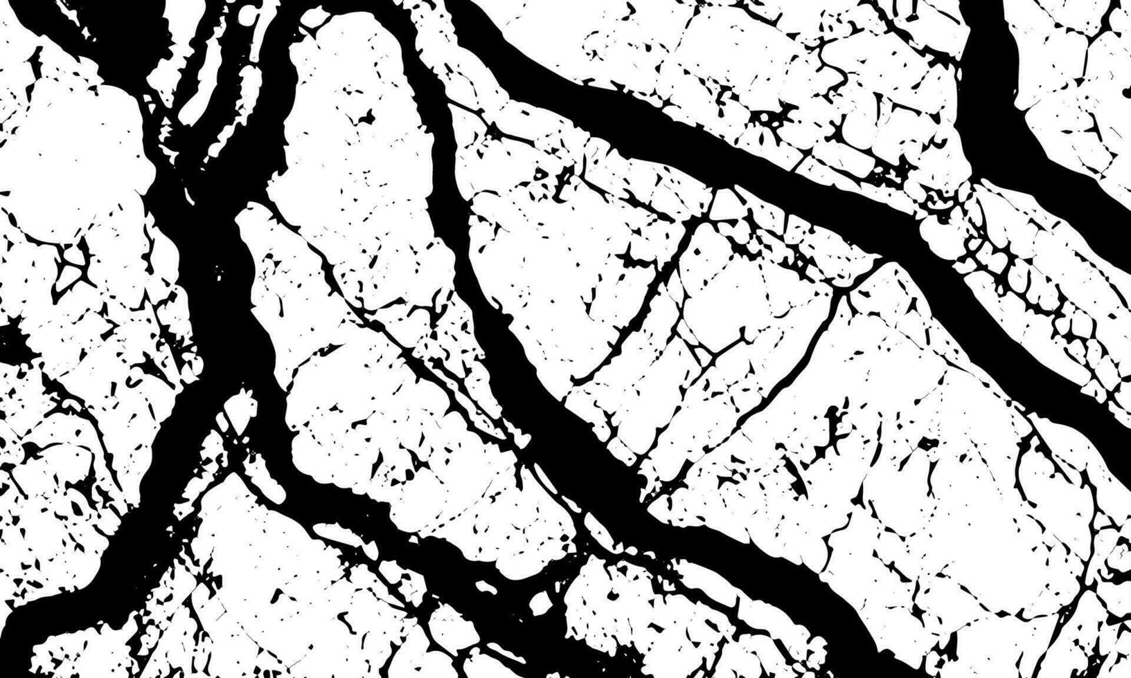 black and white marble texture vector