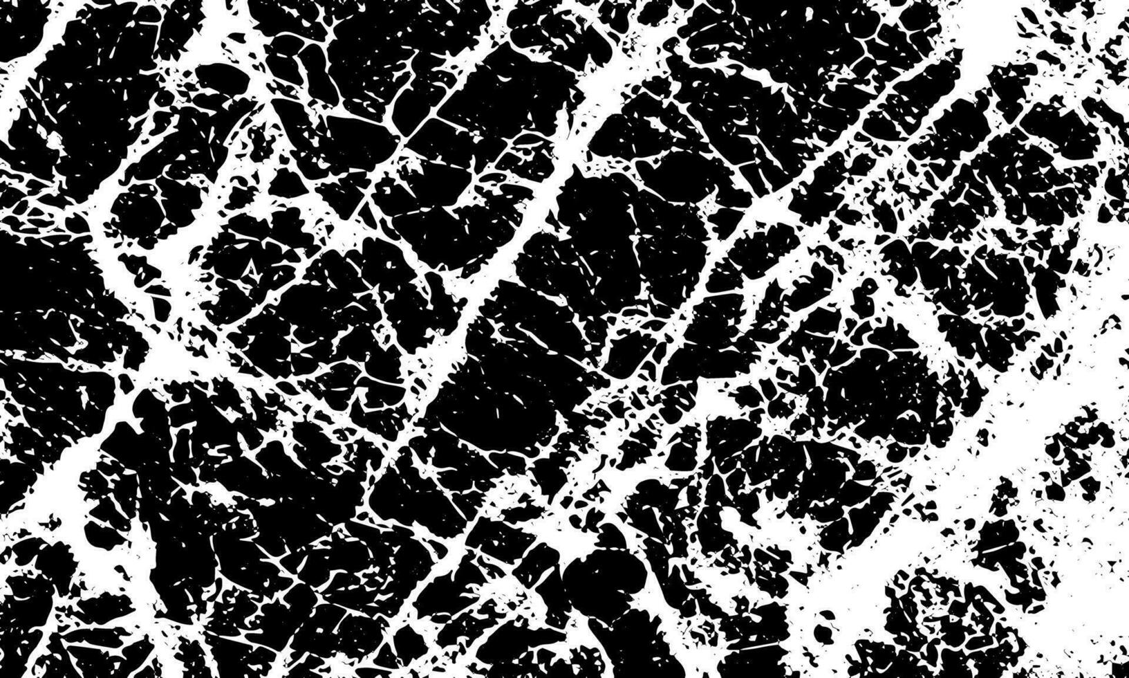 black and white marble texture vector