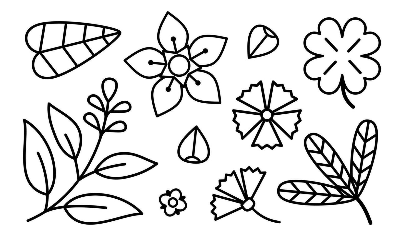 A set of flowers and leaves drawn with a line. Icons of plants and herbs. Vector illustration