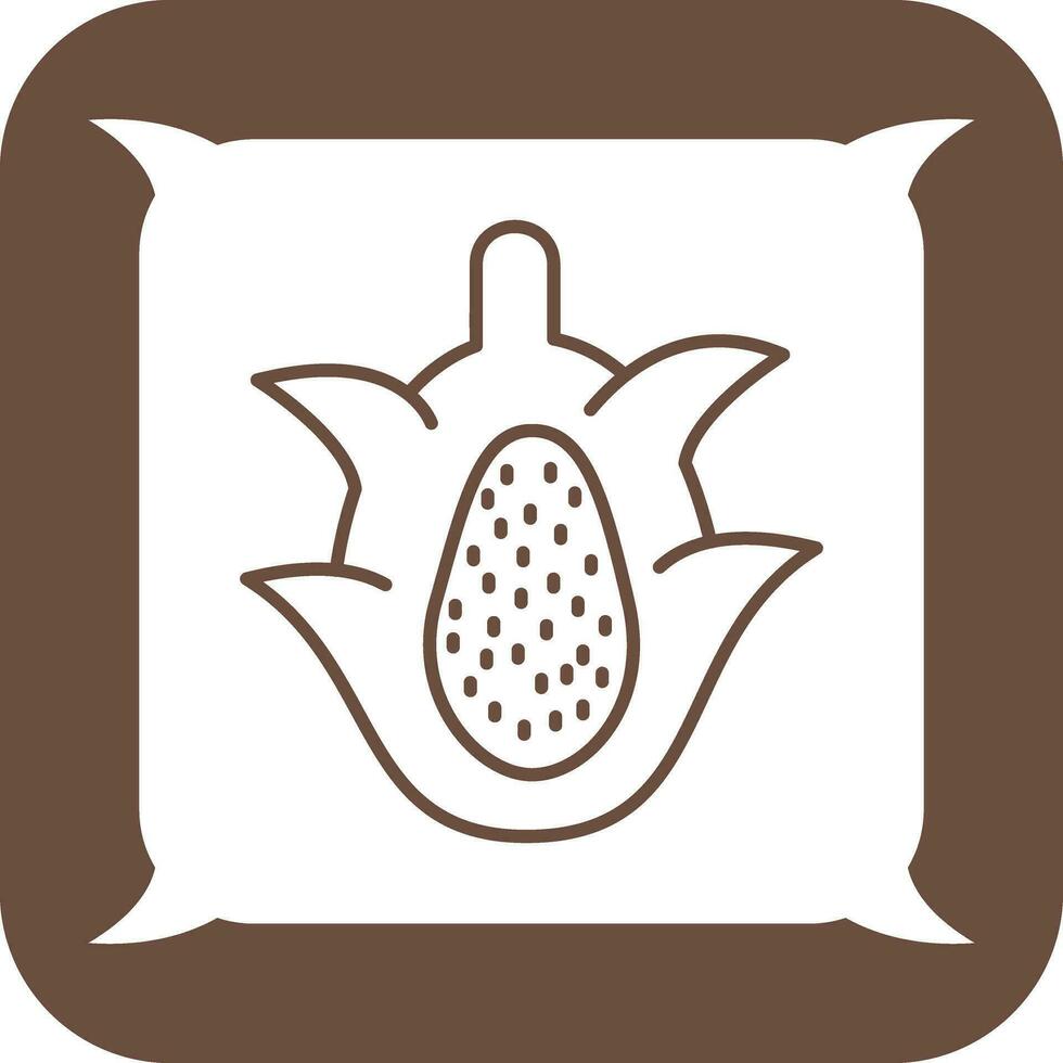 icono de vector de fruta de dragón