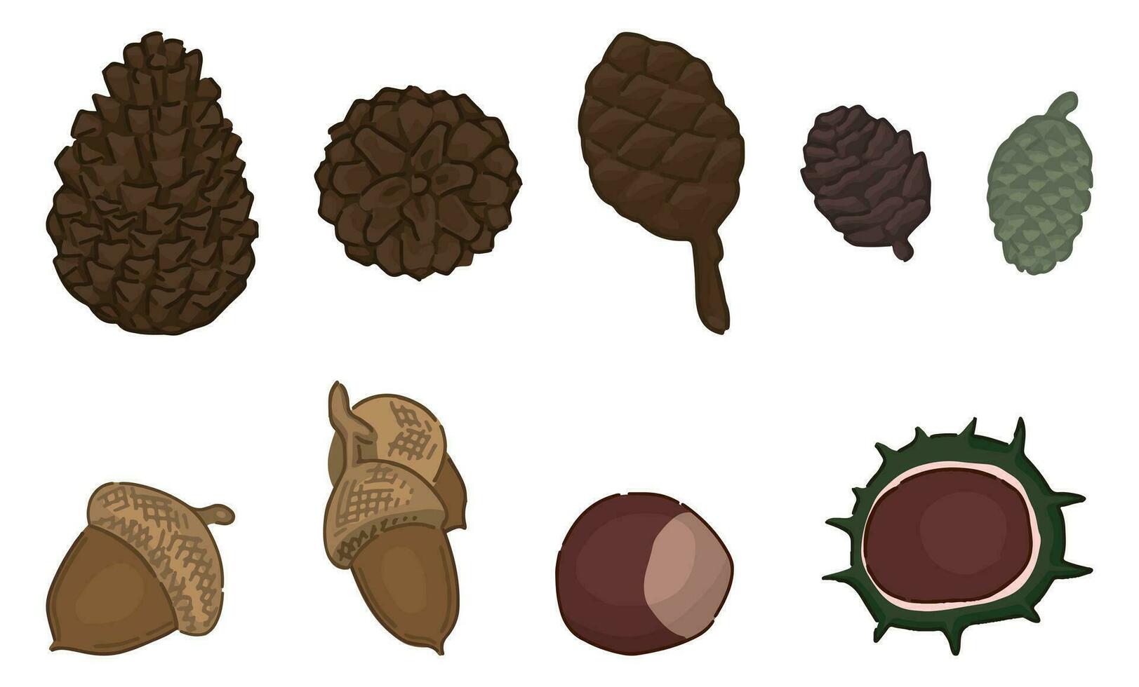 Set of autumn forest tree harvest. Doodles of acorns, pinecones, chestnuts. Cartoon vector illustrations collection isolated on white background.