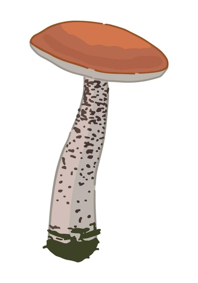 Clipart of edible mushroom leccinum. Doodle of autumn forest harvest. Cartoon vector illustration isolated on white background.