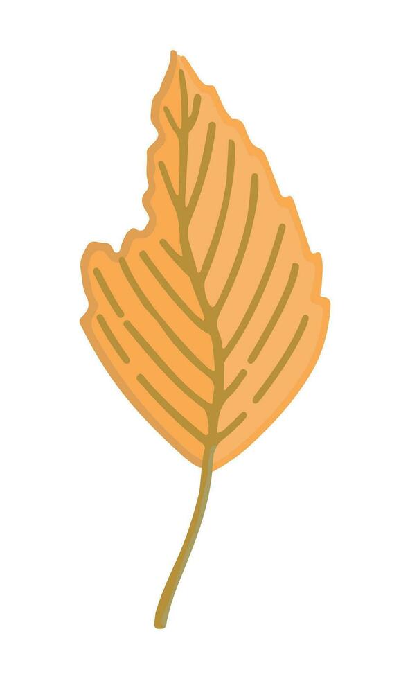 Cartoon clipart of fallen leaf. Doodle of autumn botany attribute. Contemporary vector illustration isolated on white background.