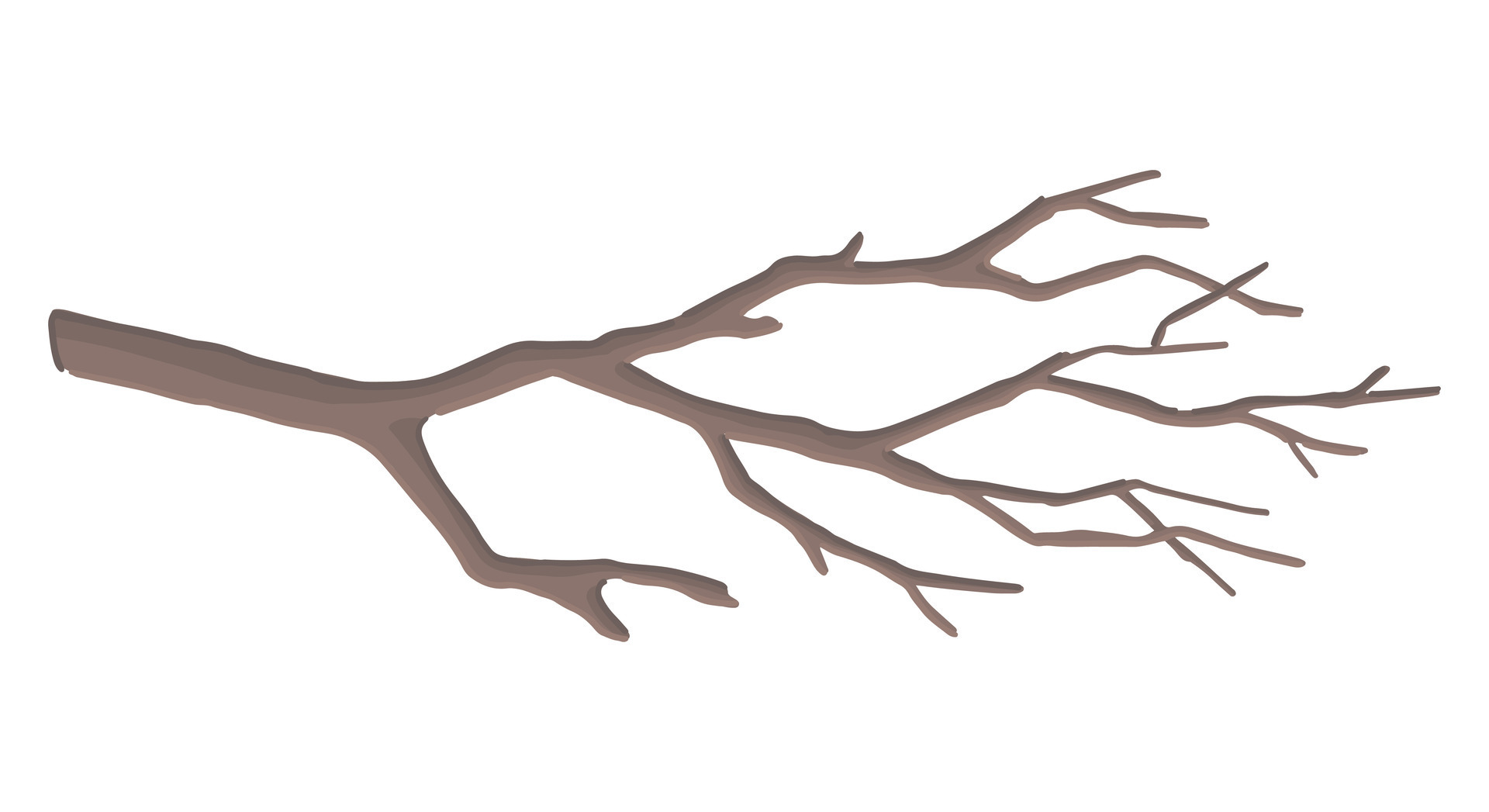 Cartoon clipart of bare branch. Doodle of tree without leaves