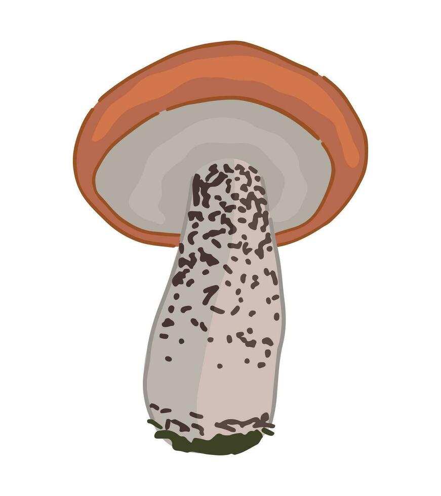 Clipart of edible mushroom leccinum. Doodle of autumn forest harvest. Cartoon vector illustration isolated on white background.