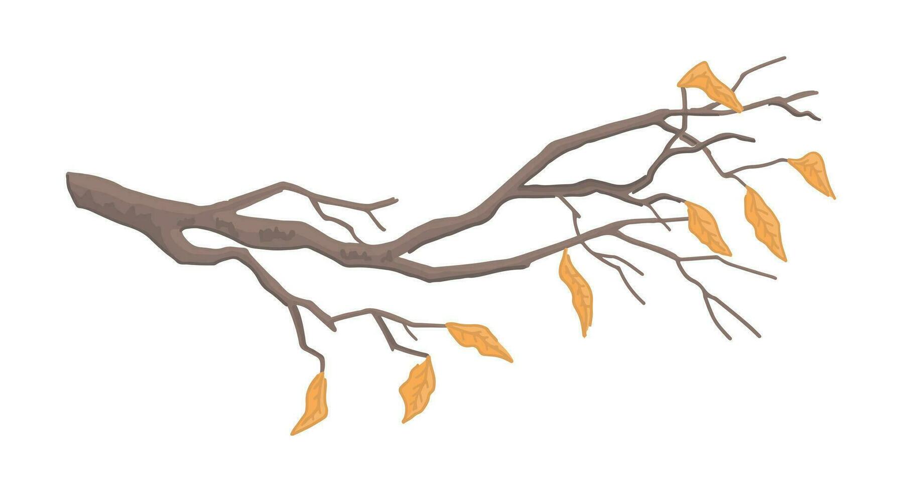 Cartoon clipart of bare branch. Doodle of tree branch with fallen leaves. Contemporary vector illustration isolated on white background.