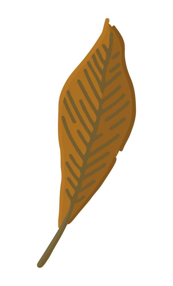 Cartoon clipart of fallen leaf. Doodle of autumn botany attribute. Contemporary vector illustration isolated on white background.