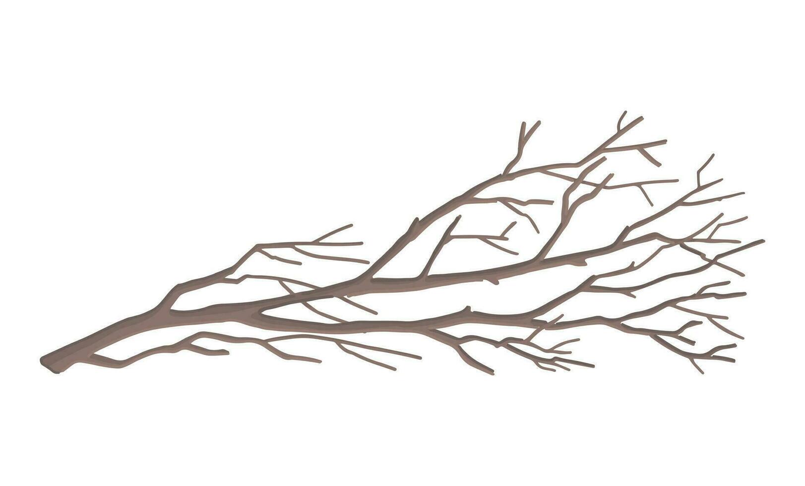 Cartoon clipart of bare branch. Doodle of tree without leaves. Contemporary vector illustration isolated on white background.