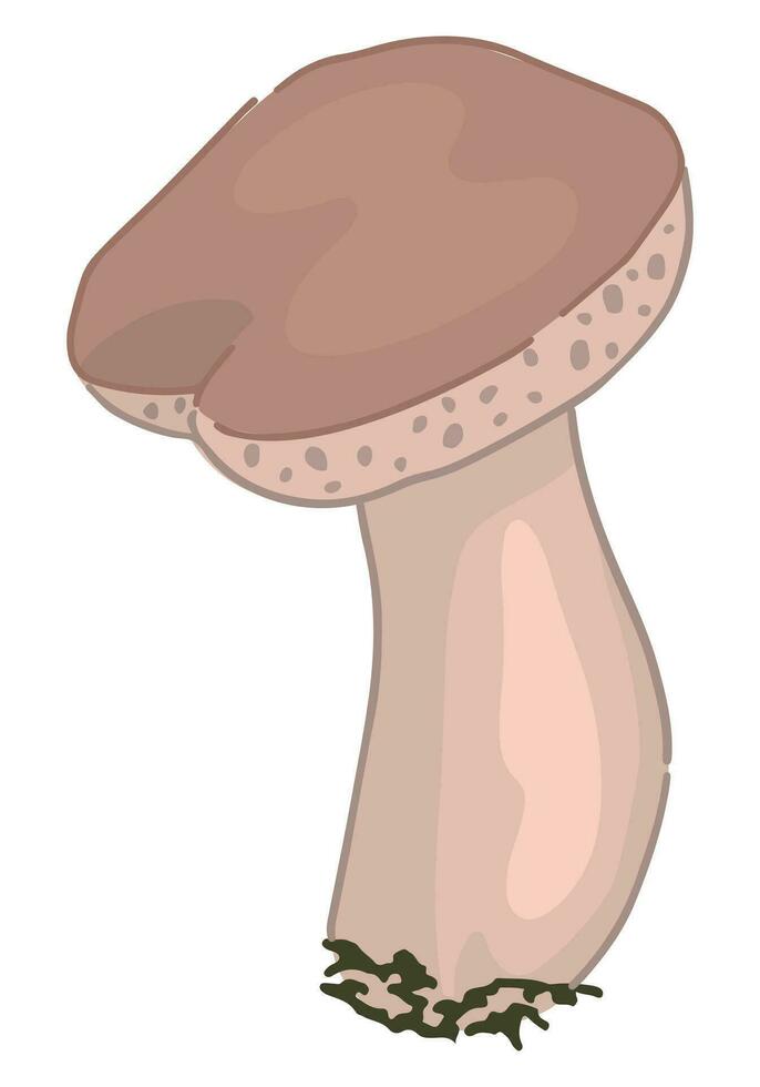 clipart de comestible seta boleto edulis. garabatear de otoño bosque cosecha. dibujos animados vector ilustración aislado en blanco antecedentes.