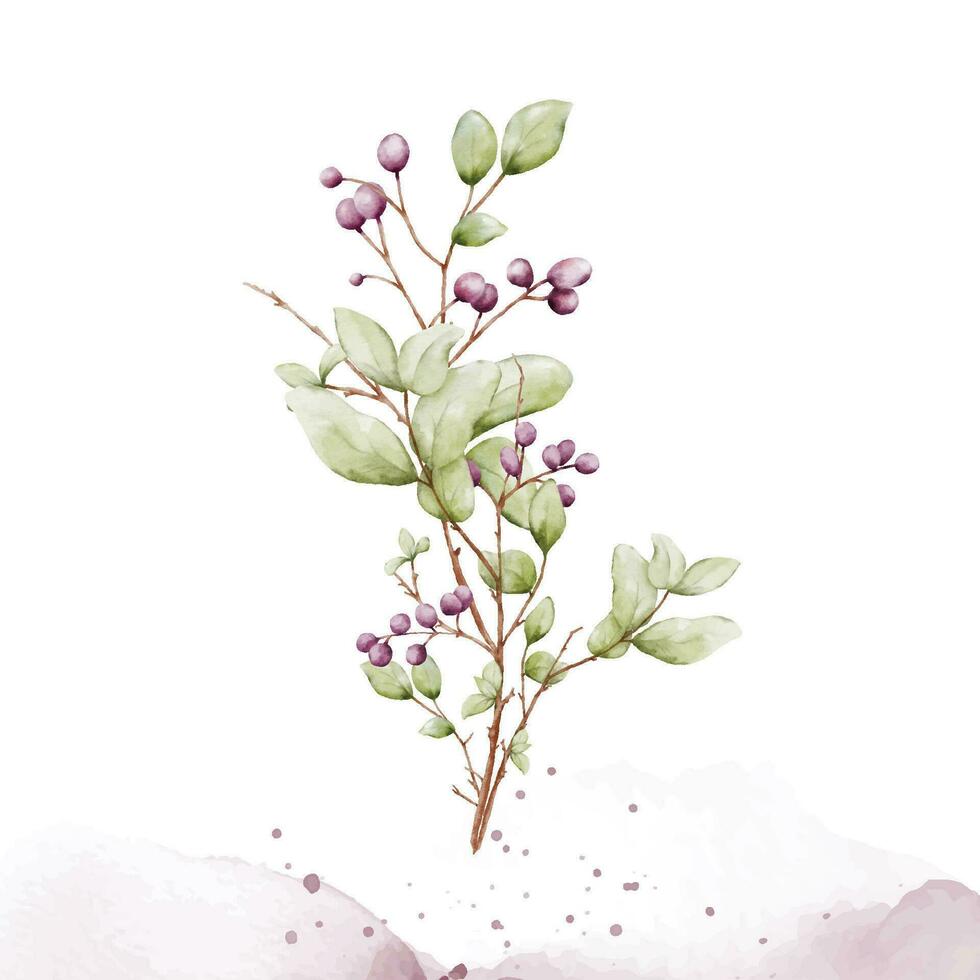 Watercolor berries branches on stain background vector