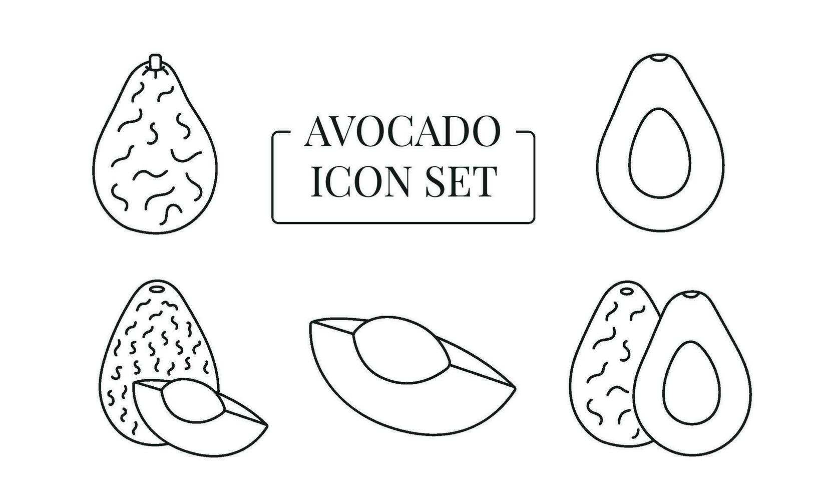 Avocado fruit whole and half, cut into slices, set of line icons in vector. vector
