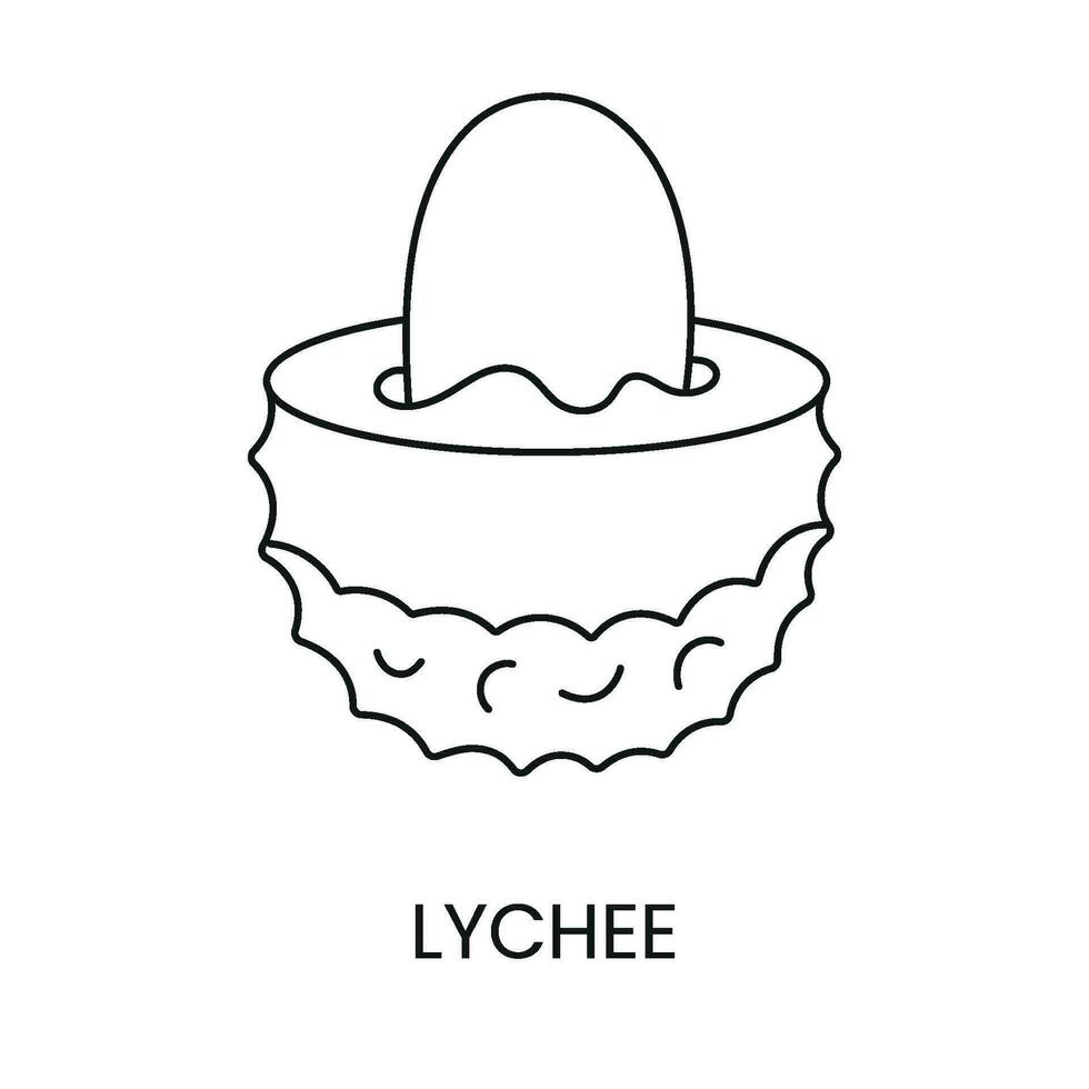 Lychee line icon in vector, fruit illustration. vector