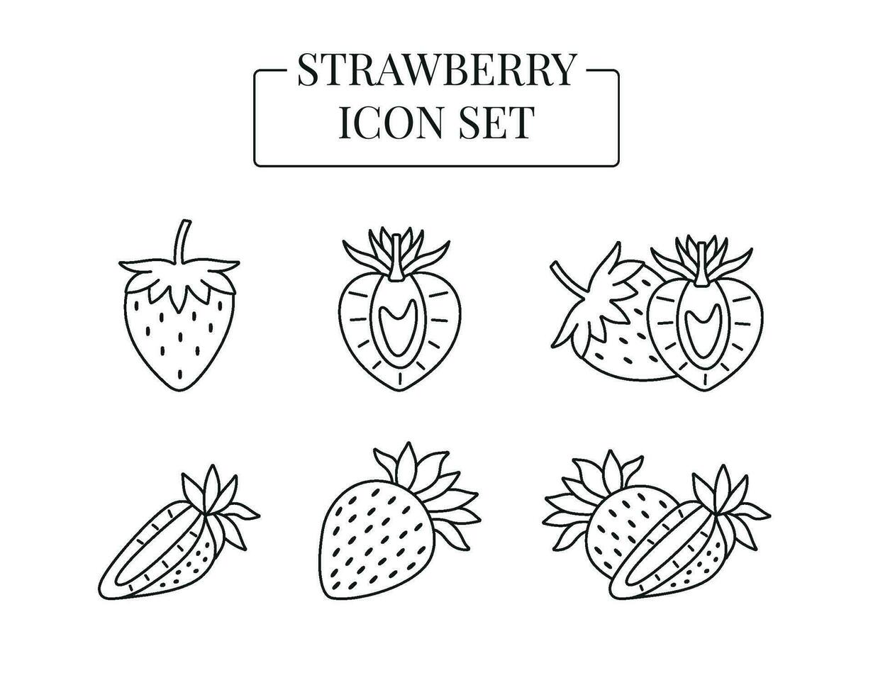 Strawberry berry whole and half, cut into slices, set of line icons in vector. vector