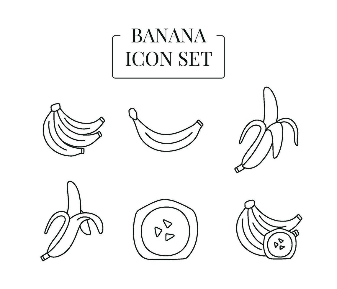 Fruit Banana whole and half, cut into slices, set of line icons in vector