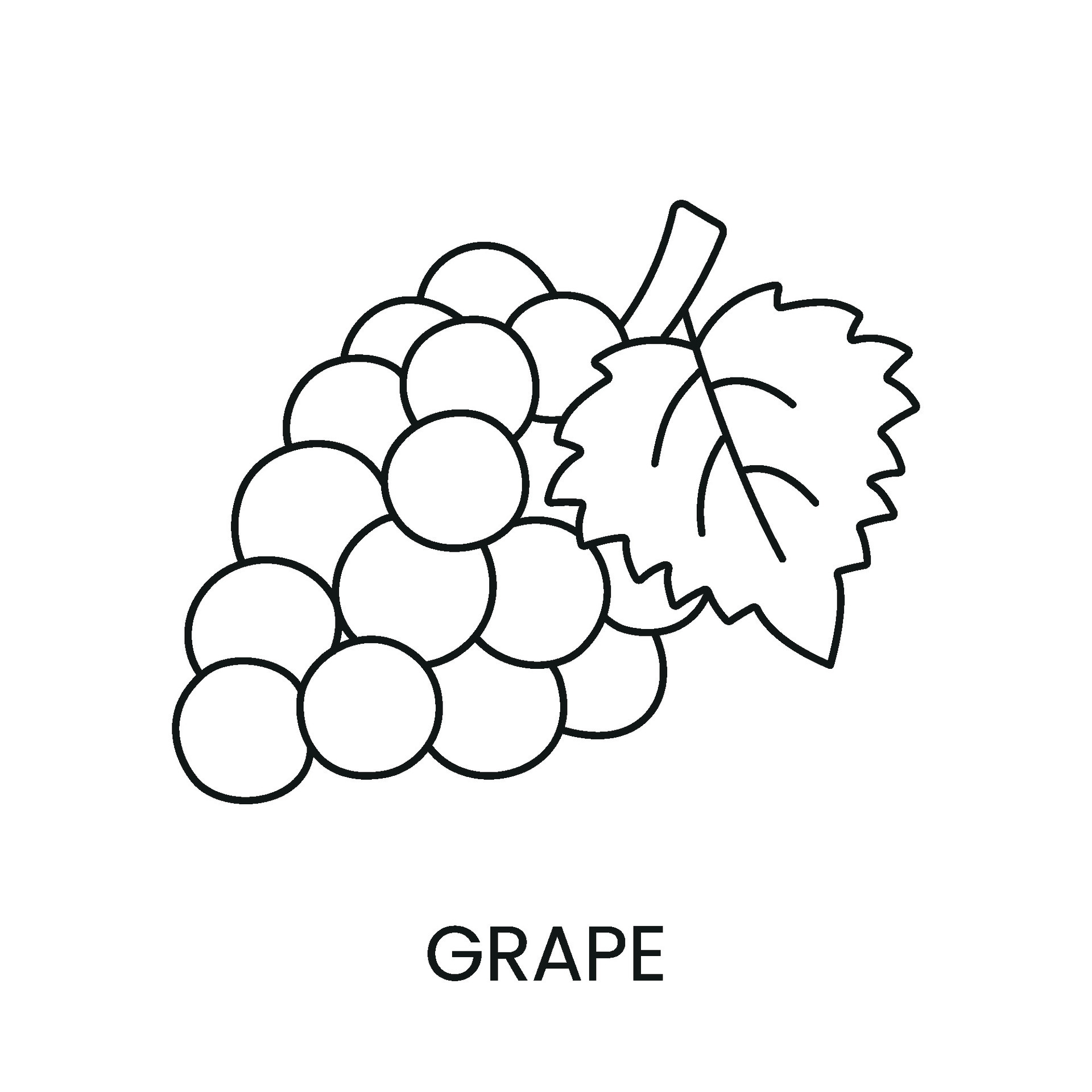 Grapes line icon in vector, berry illustration 29454144 Vector Art at Vecteezy