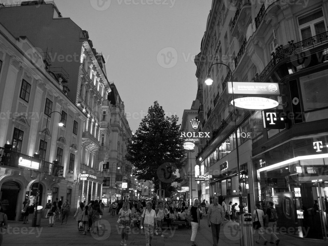 Vienna city in austria photo