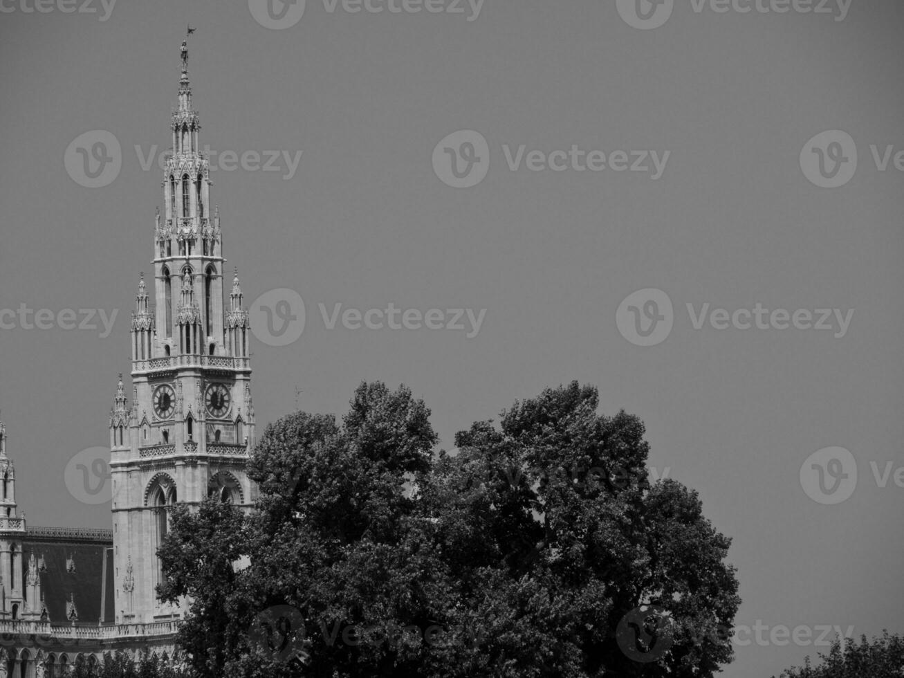 vienna at the danube river photo