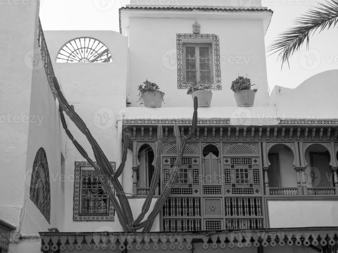 tunis city in tunisia photo