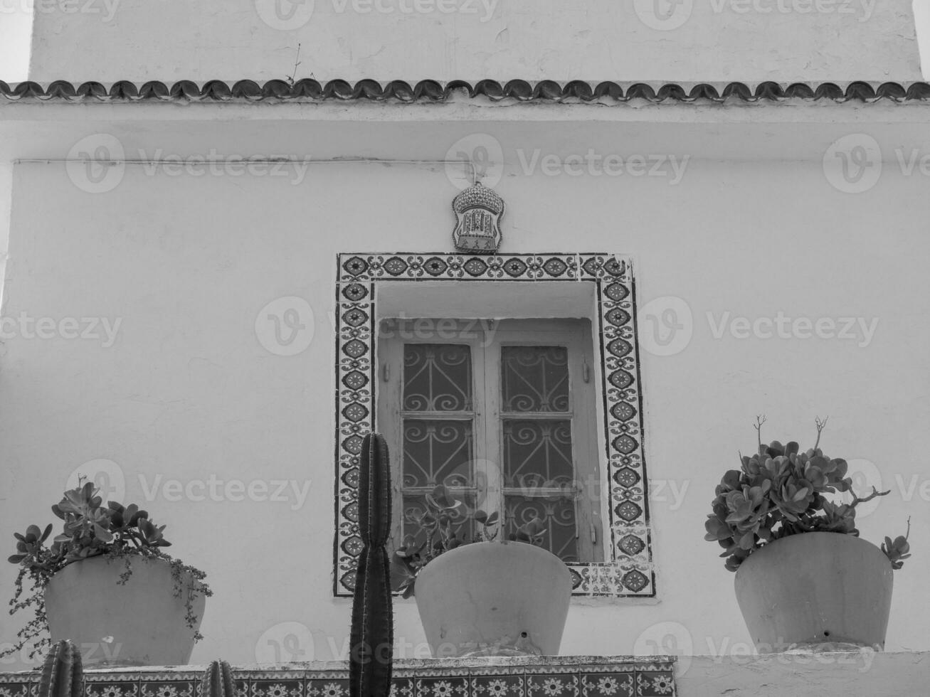 tunis city in tunisia photo