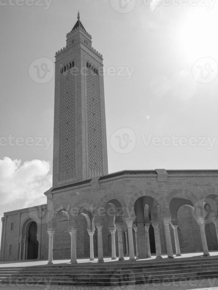 the city of tunis photo