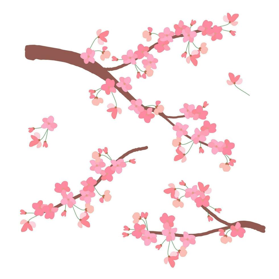 Sakura symbol of spring. Wedding background. Japanese vector illustration in anime style. Cherry blossom branch isolated on a white background. Clipart for invitations.