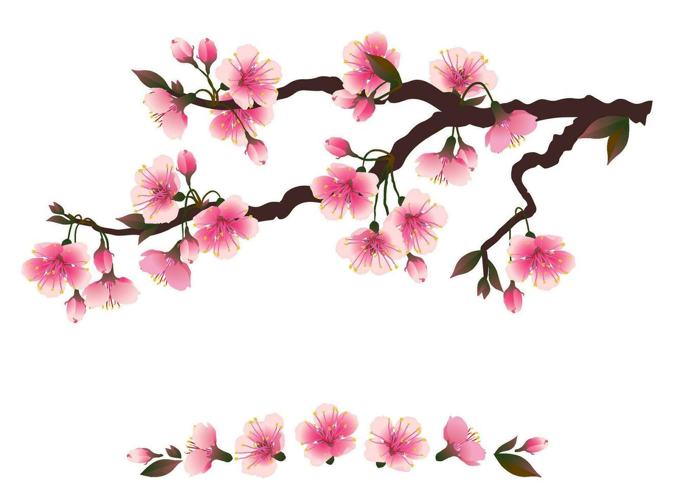 japonés rosado flores en blanco antecedentes. floreciente sakura florecer pétalos Clásico invitación para celebracion decoración diseño. vector