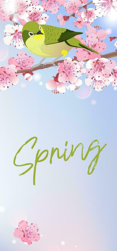 japonés ruiseñor en un rama de Cereza flores hanami en Japón. rosado sakura y uguisu. pájaro cantor símbolo de primavera y amor en cielo antecedentes. vector ilustración.