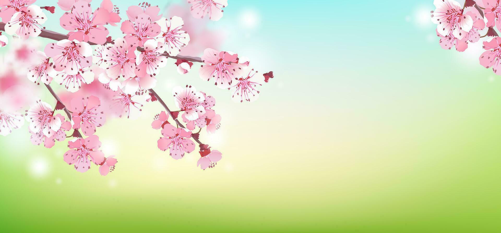 Soft focus. Sakura blooms on a blurry background. Spring is coming. Cherry blossom branch. Romantic vector illustration. Background for wedding invitations.