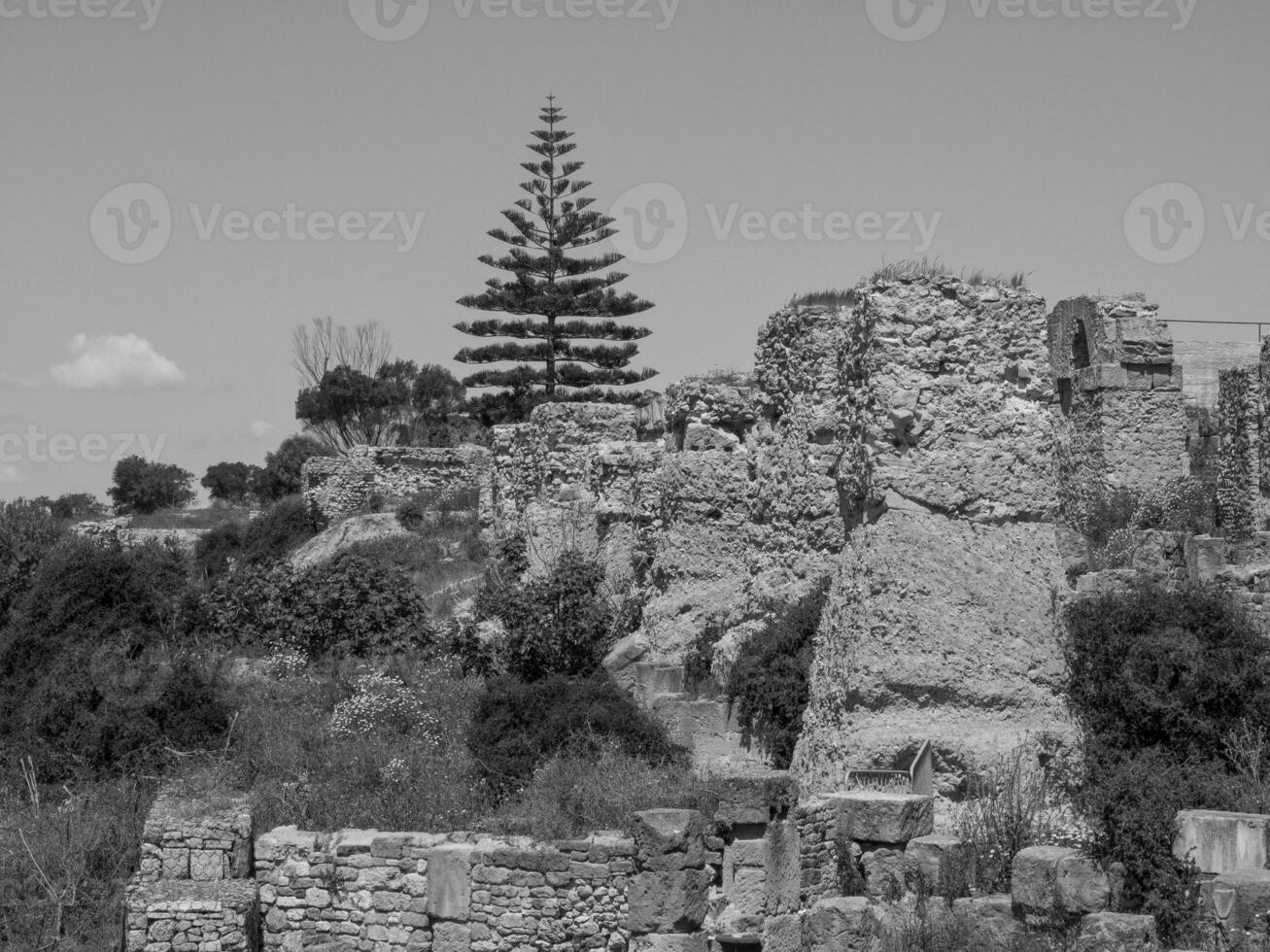the old city of Tunis photo