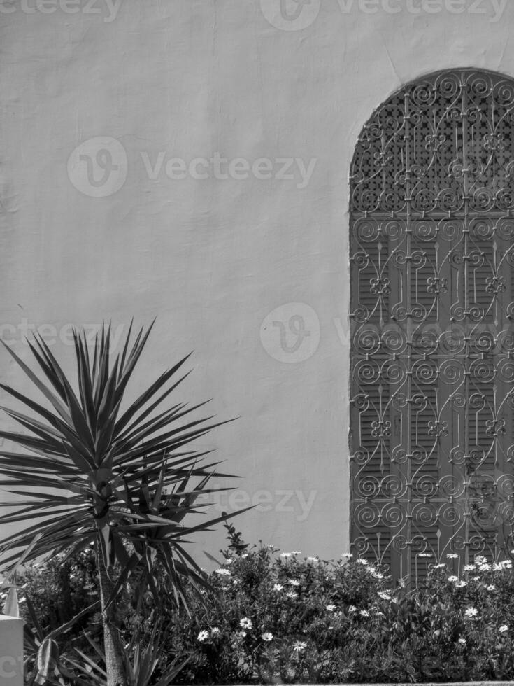 el antiguo ciudad de Túnez foto
