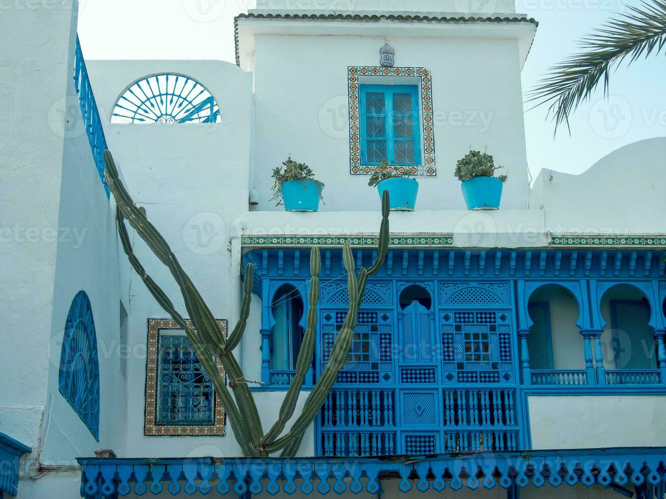the city of Tunis photo