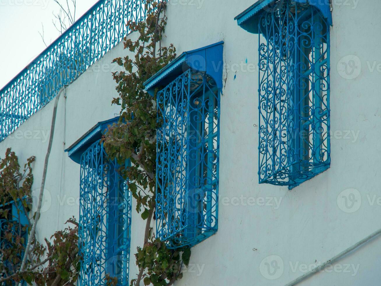 the old city of  Tunis photo