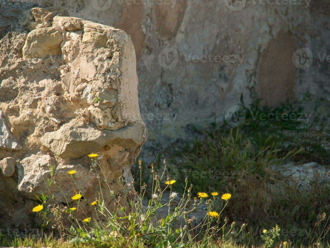 the old city of  Tunis photo