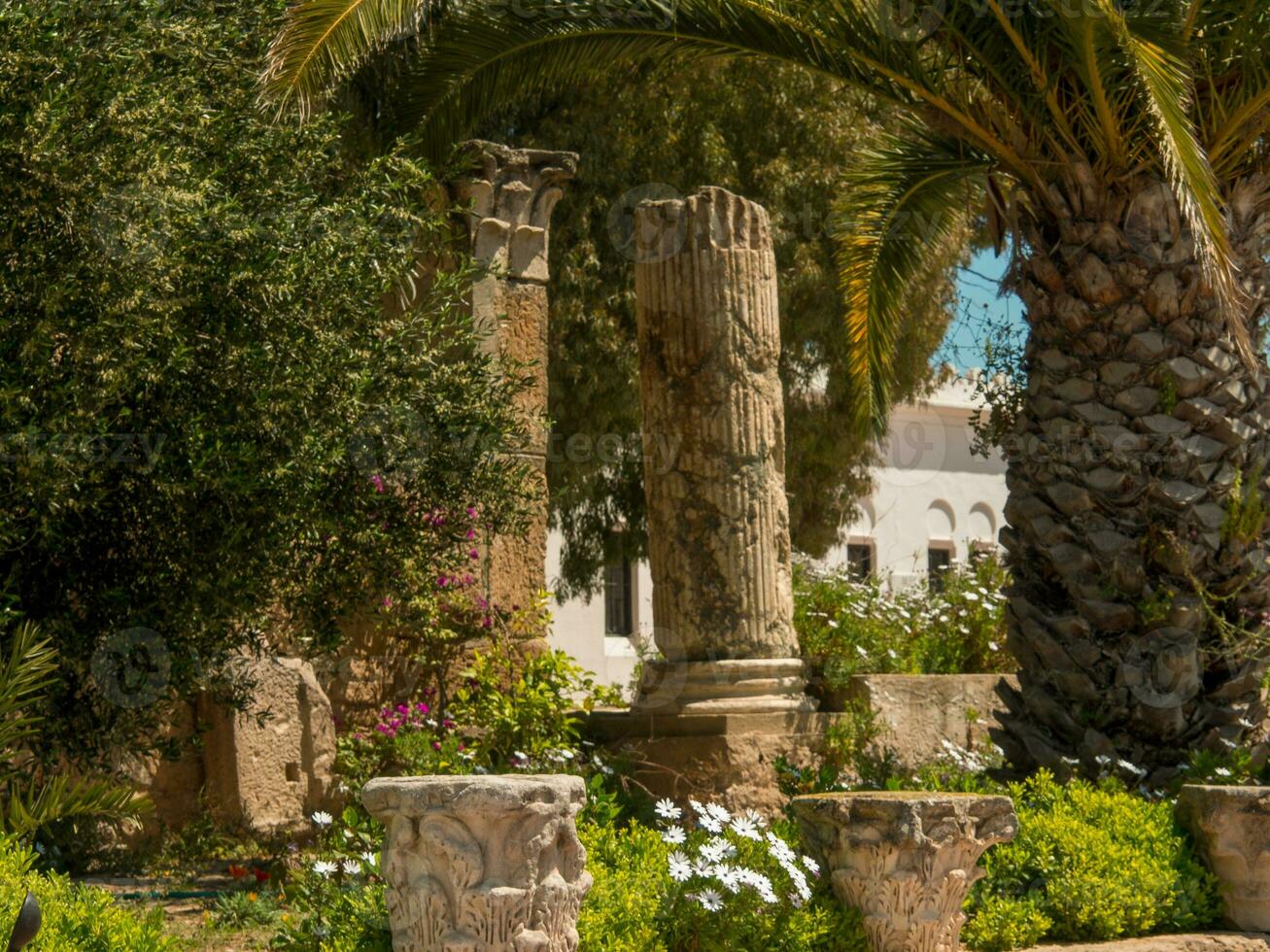 the city of Tunis in africa photo