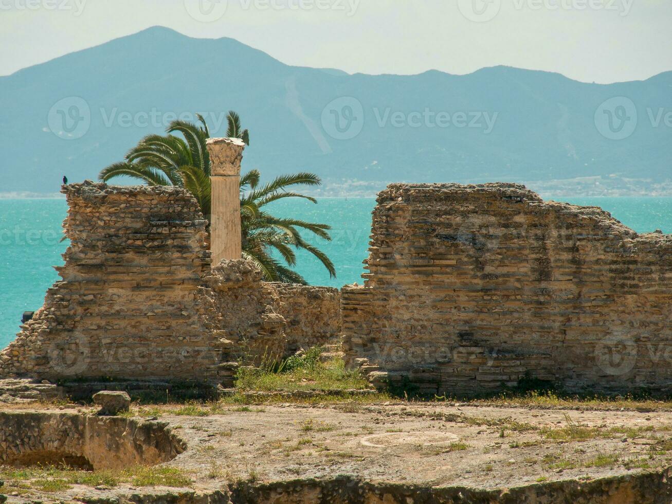 the city of Tunis in africa photo