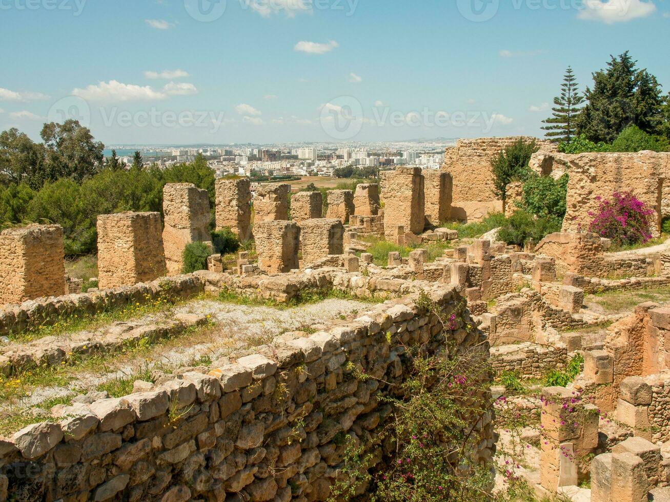 tunis city in tunisia photo