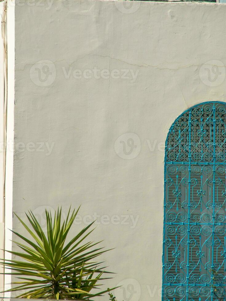 the city of tunis photo
