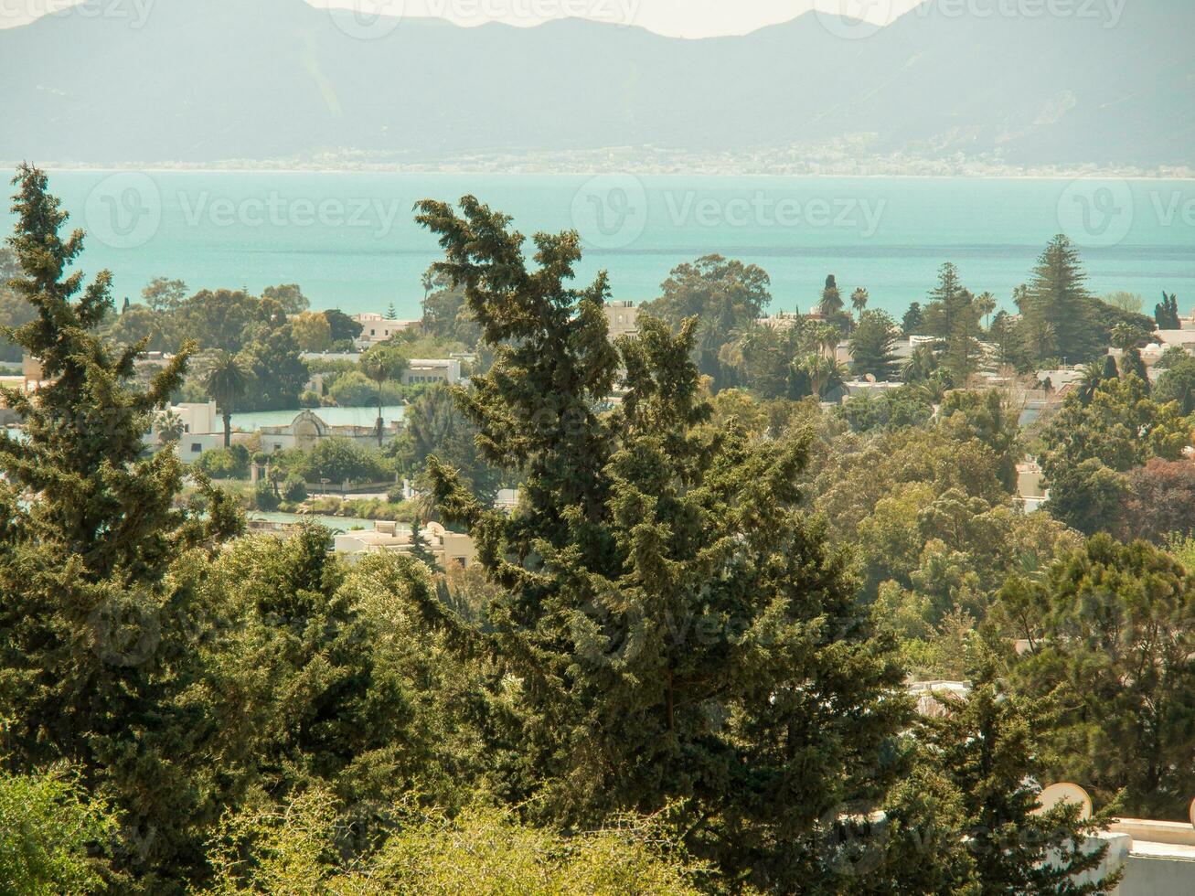 the city of tunis photo