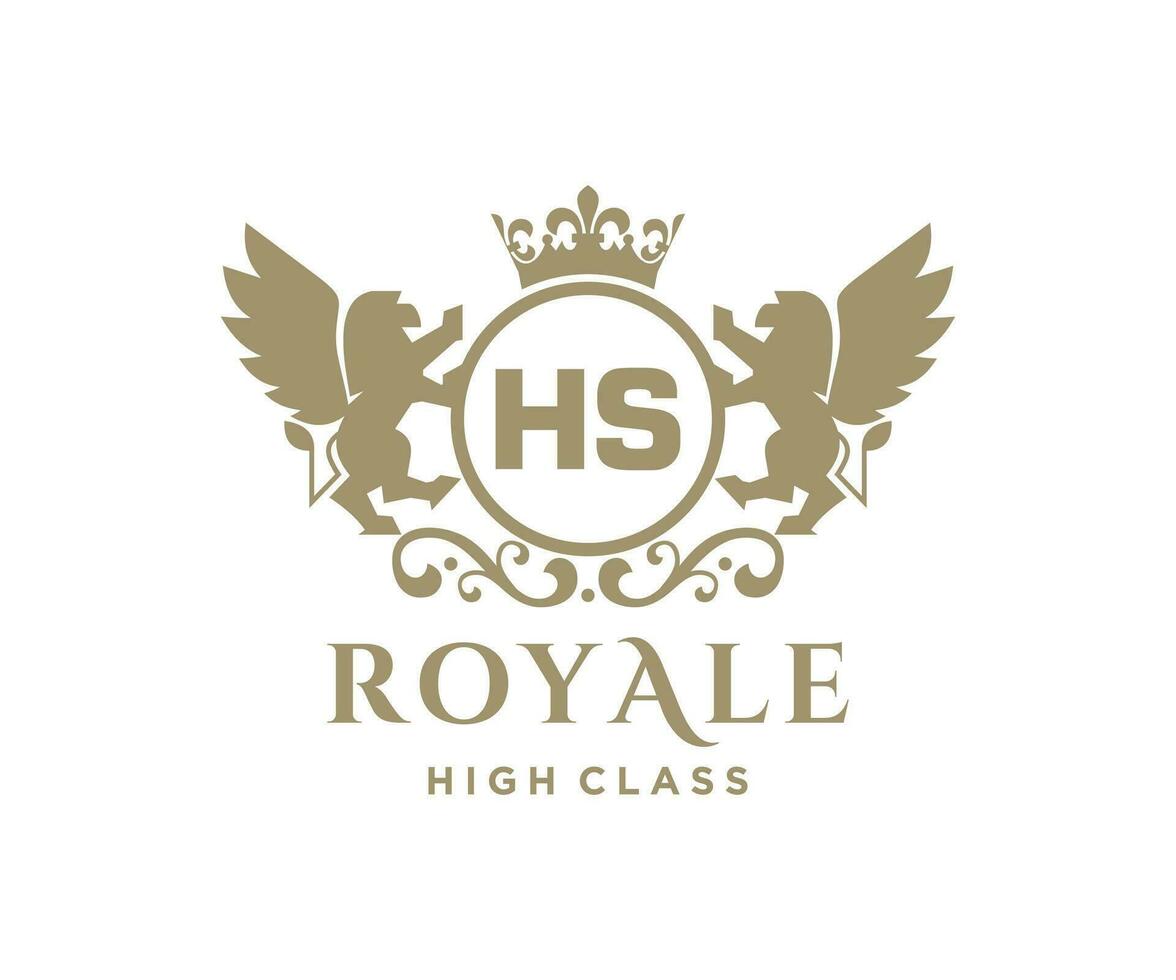 Golden Letter HS template logo Luxury gold letter with crown. Monogram alphabet . Beautiful royal initials letter. vector