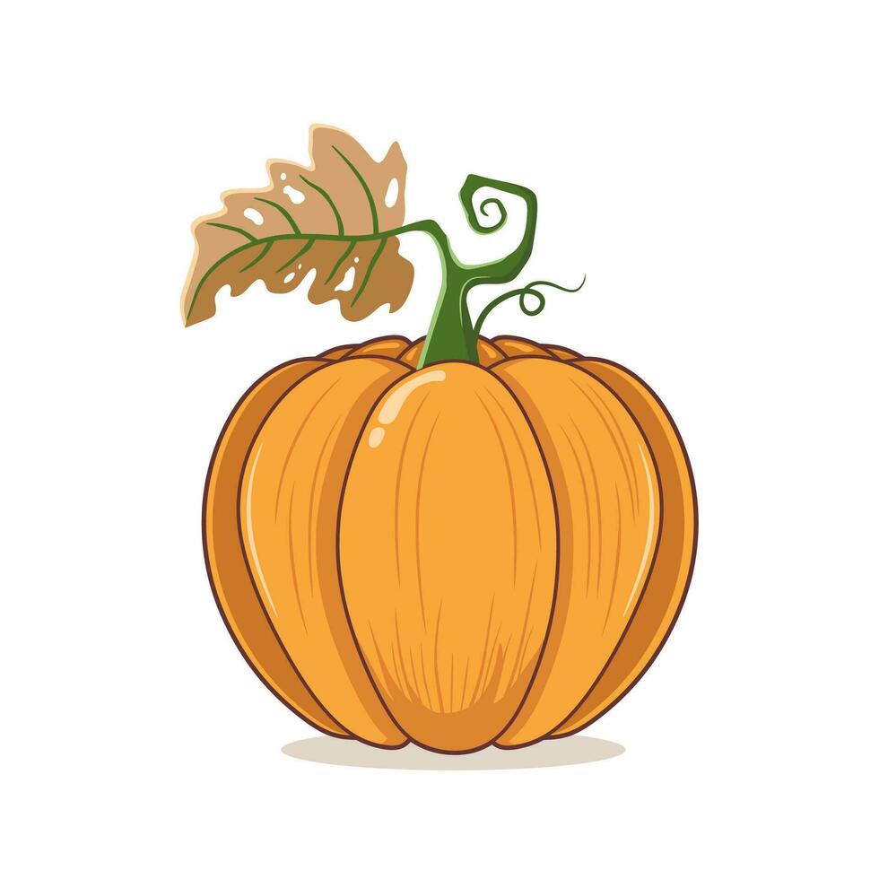 Ilustración de vector de calabaza naranja. calabaza de halloween de otoño, icono gráfico vegetal o impresión, aislado sobre fondo blanco.