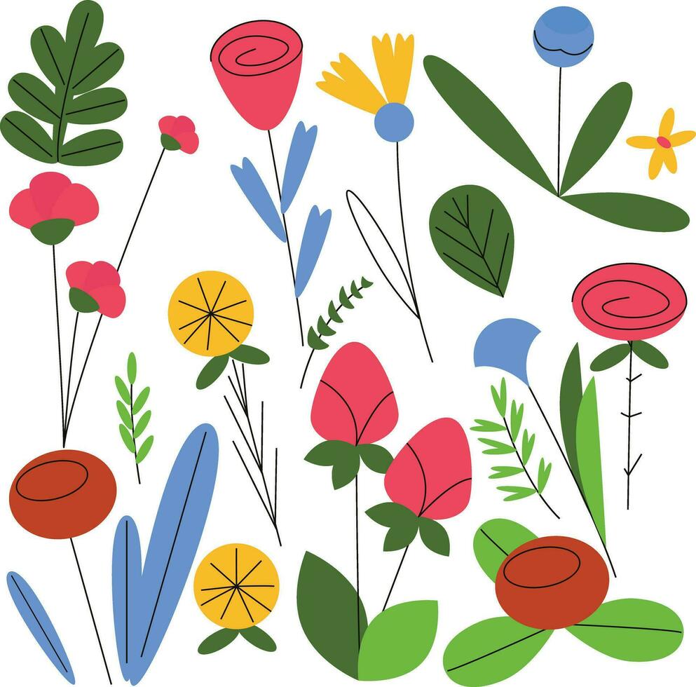 Floral design elements. Leaves, flowers, grass vector