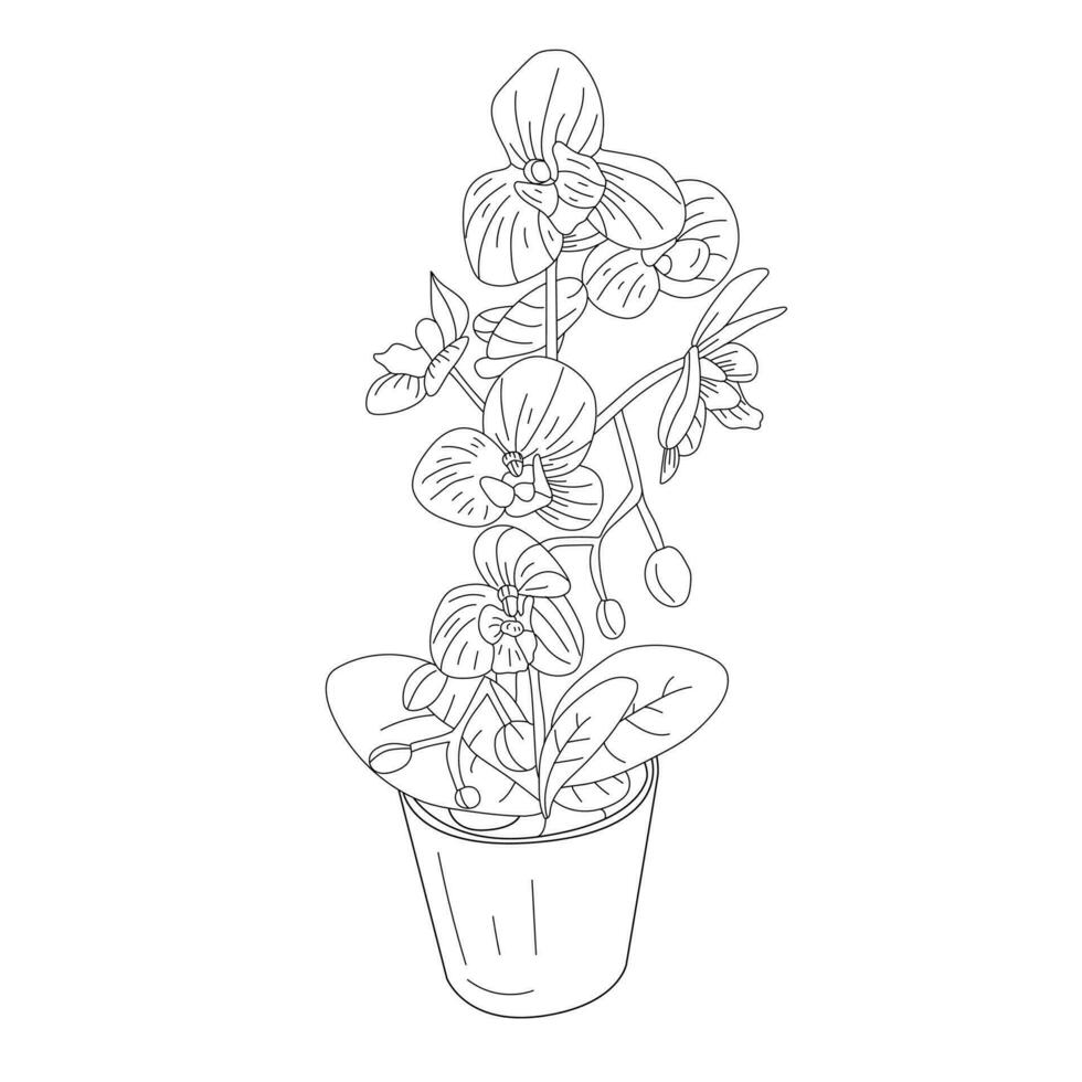 Flower line art vector coloring page illustration 29461341 Vector Art ...