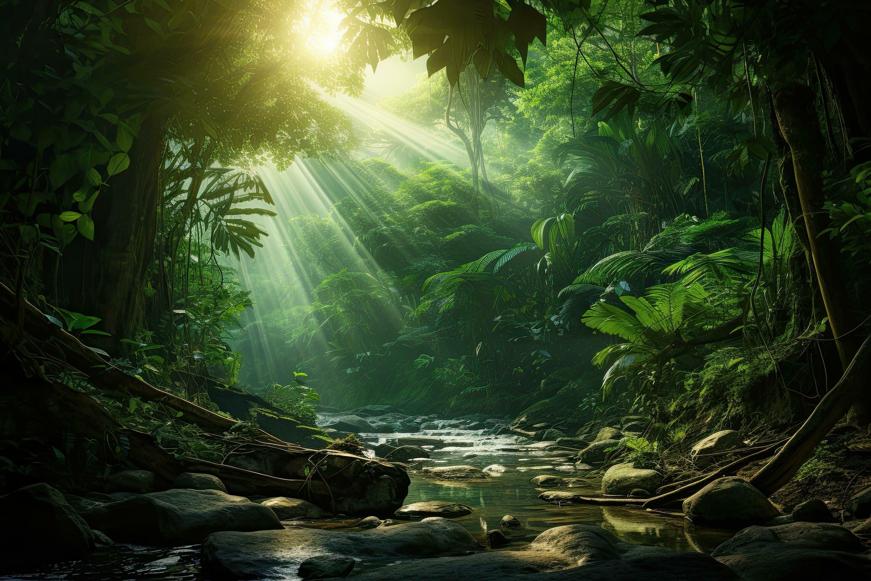 Beautiful tropical rainforest with river and sunbeams in the morning Beautiful tropical rainforest with river and sunbeams in the morning