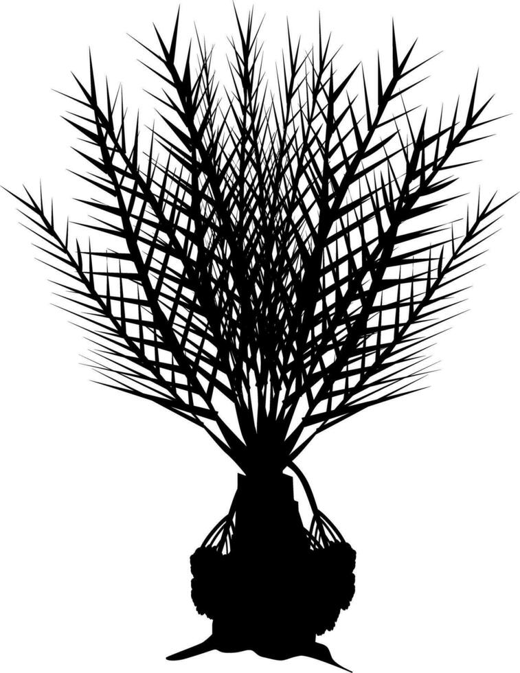A palm isolated on white vector