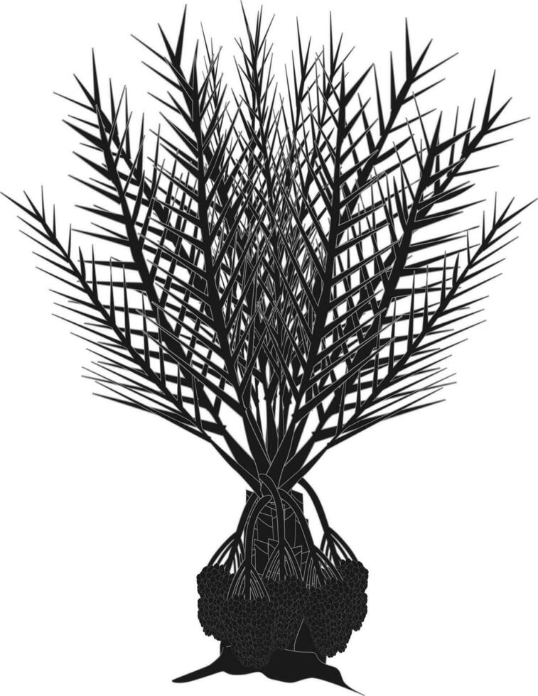 A palm isolated on white vector