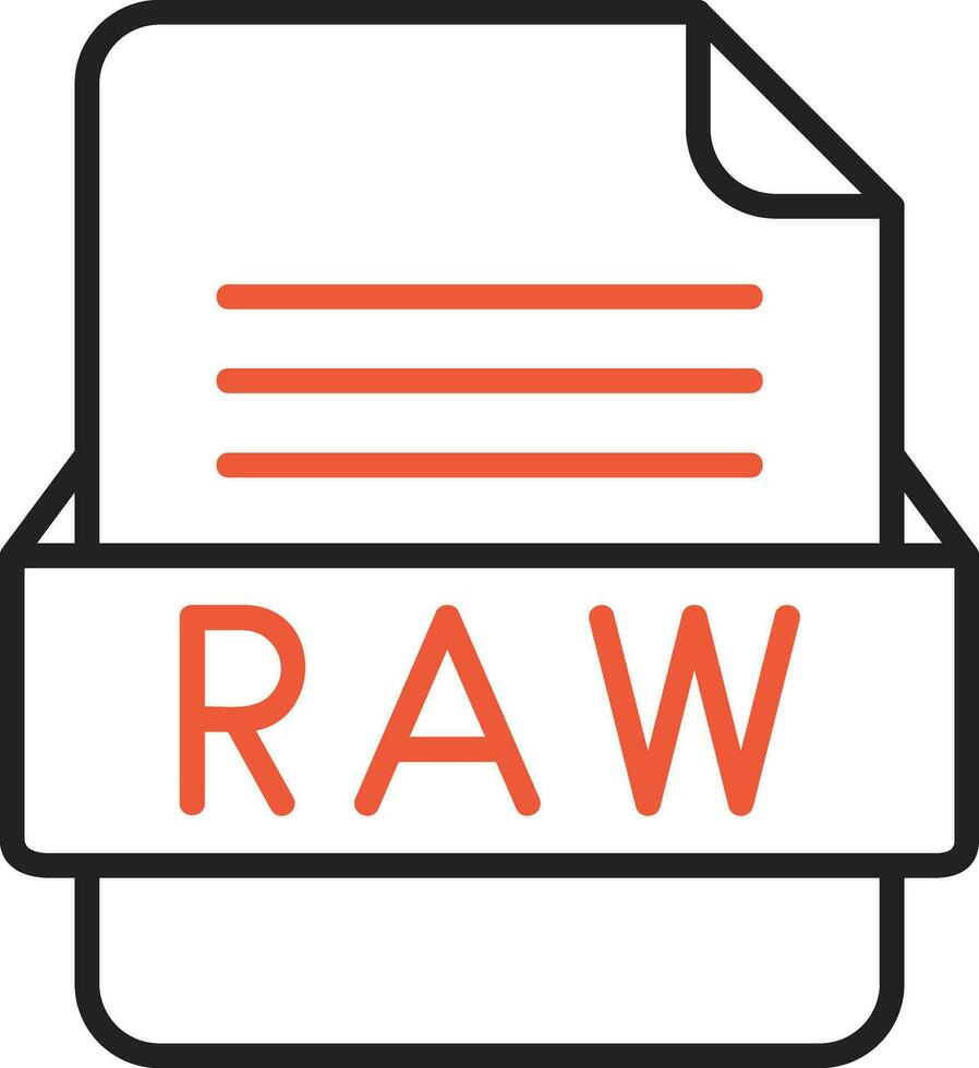 RAW File Format Vector Icon