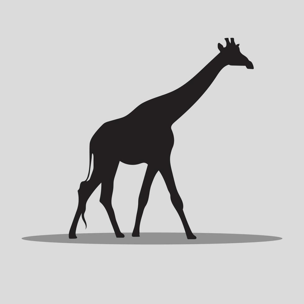 Giraffe animal vectors