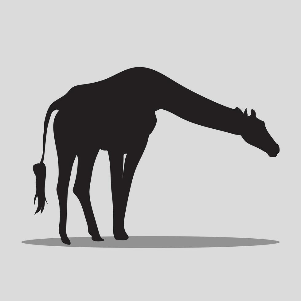 Giraffe animal vectors