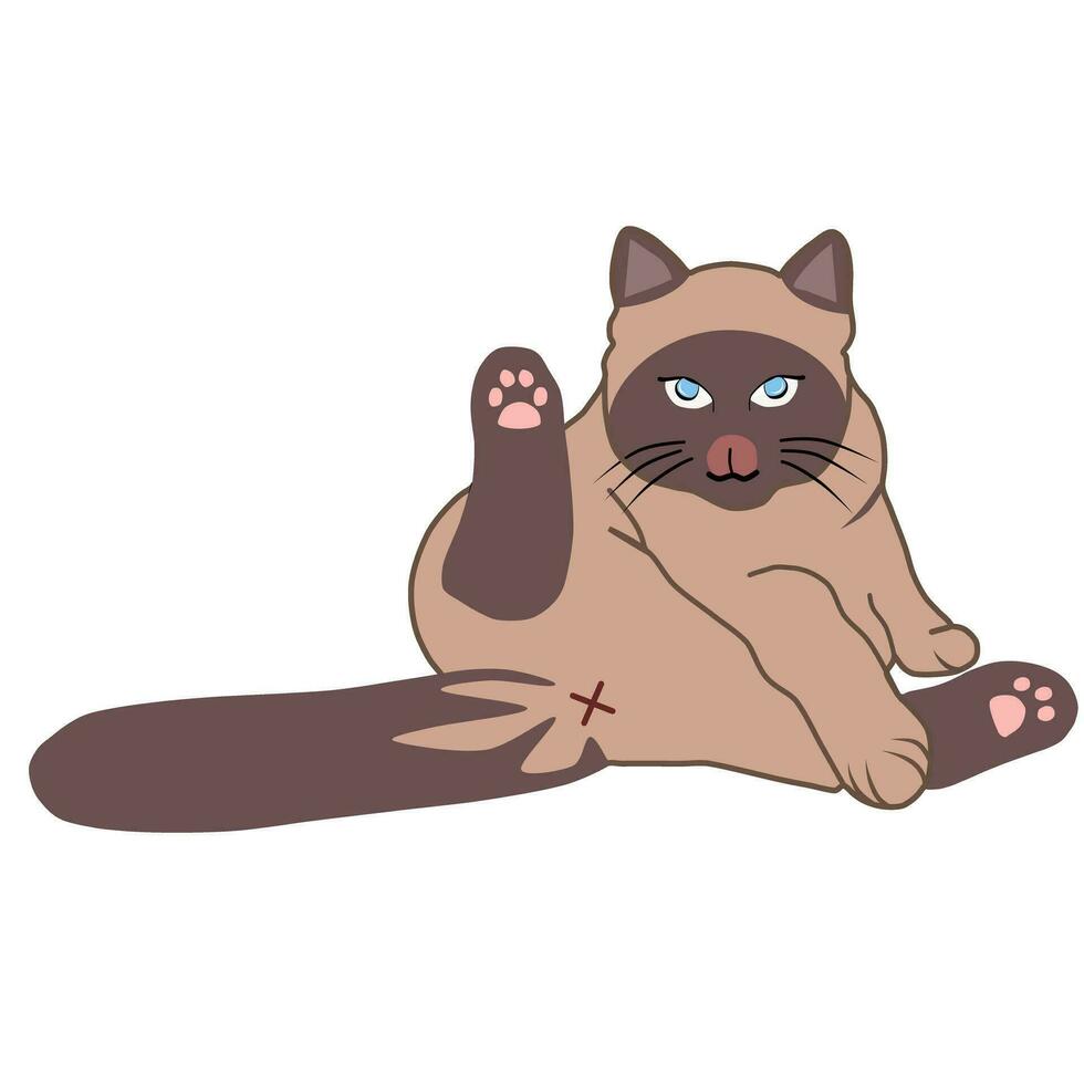 vector ilustración gráfico de gato limpieza sí mismo con lengua afuera, siamés, smoking gato