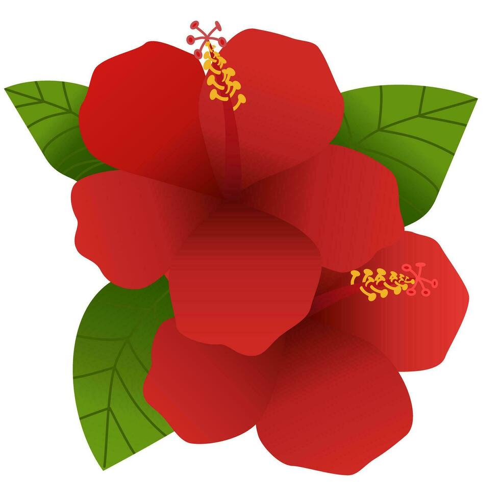 Hibiscus Seamless Vector Art, Icons, and Graphics for Free Download